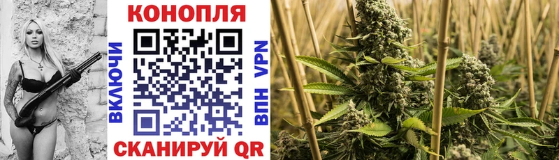 Каннабис AK-47  наркотики  Малая Вишера 